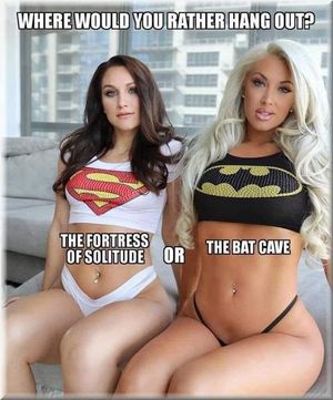 Where would you rather hang out? The fortress of solitude or The bat cave?