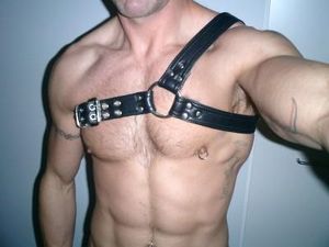 Lthr247 Picture