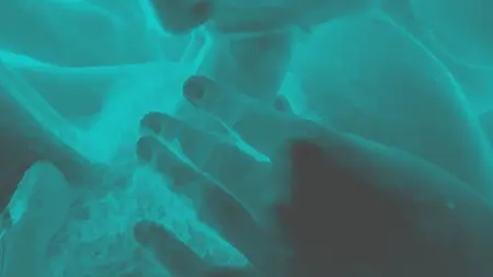 Slow mo dick suck