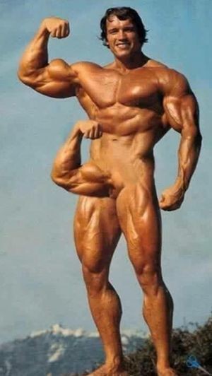 DICK Push Ups