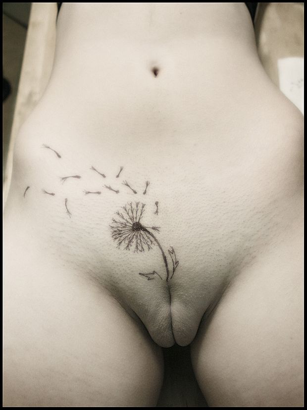 Daisy