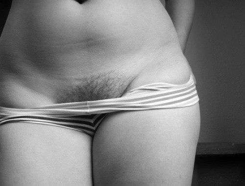 Monochrome bush
