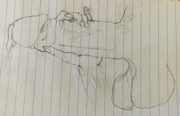 One
