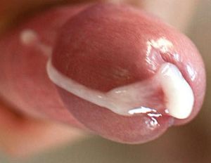 Cockhead adorned with cum..