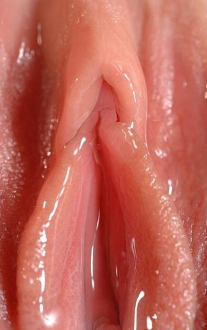 Wet Pussy
