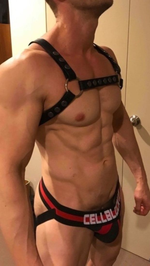 Harness and Jock Strap. Delicious
