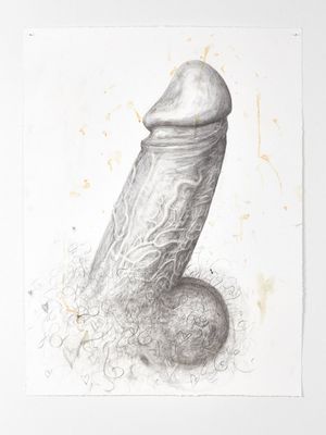 A drawing of a cock.