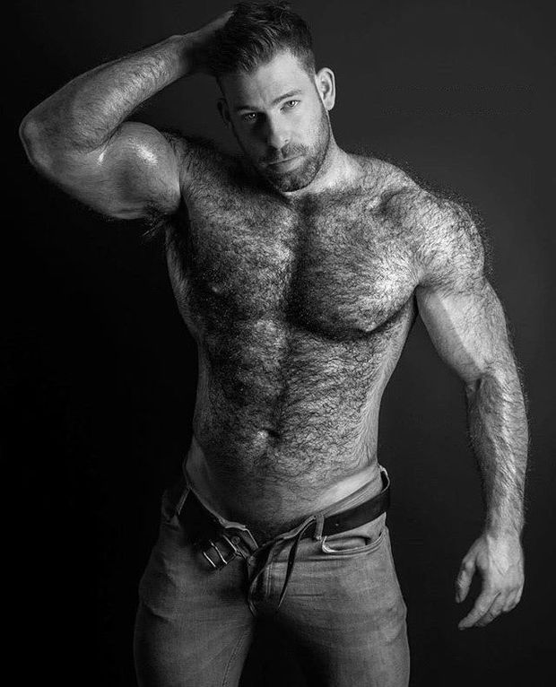 Furry STUD