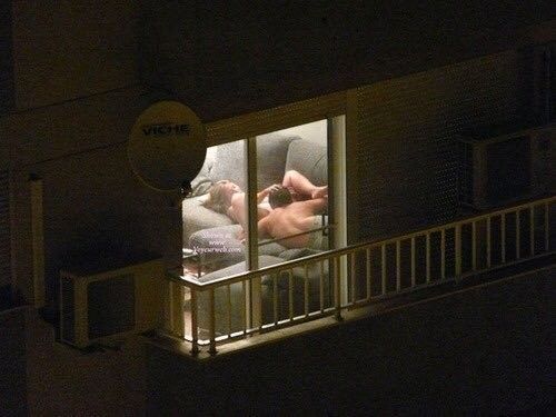 My neighbours