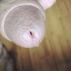 Head spitting precum..