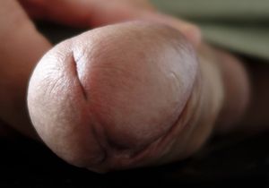 Mon gland - my glans - Penis POV #