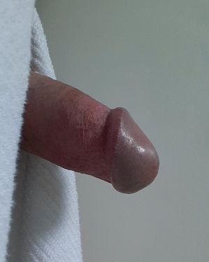 Shy head cumming up...