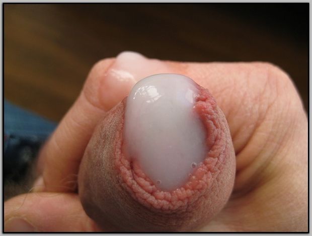 Warm, thick sperm..