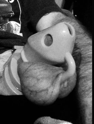 You can’t tell but this cage is pretty pink