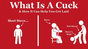 what is a cuck infographic