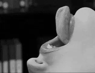 slide it in