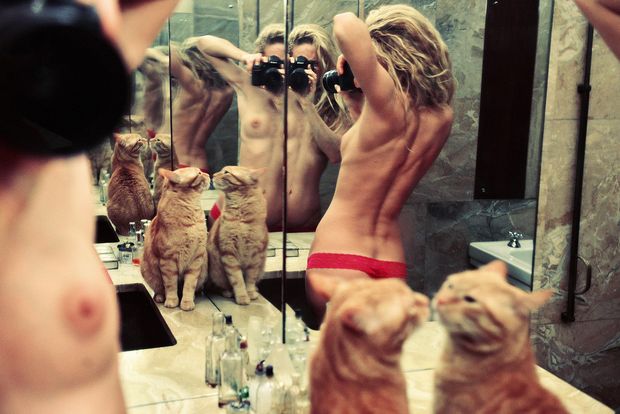 The Cat Lady