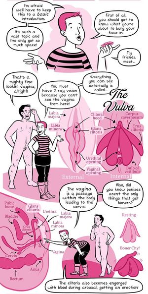 How to Eat Pussy page 2