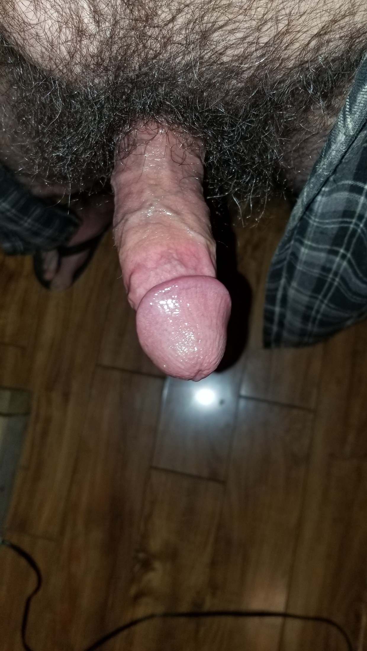 Hard And Ready To Stroke