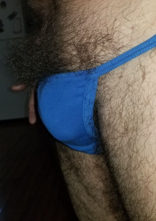 My Bush