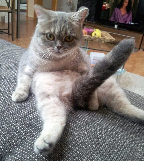 Funny pic