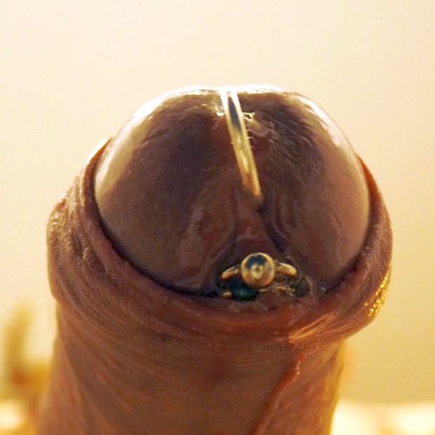 Cockhead pierced