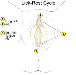 Lick Rest Cycle 1
