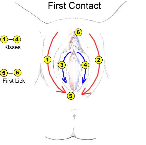 Lick Rest Cycle 3