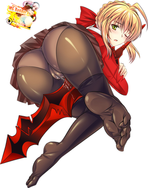 Fate Series Red Saber