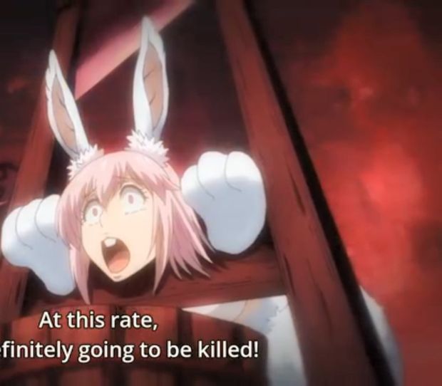 The-rabbit-execution