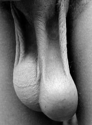 no os parecen perfectos?,