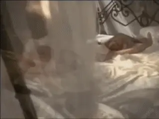 Victoria Silvstedt white lingerie in bed