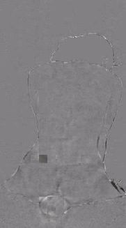 sexy tanned ass riding