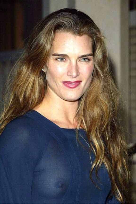 Brooke Shields, A See Through Tit Shot Obscures Your Disclosure You Enjoy The Trendy Hobbies Of Knitting And Crocheting