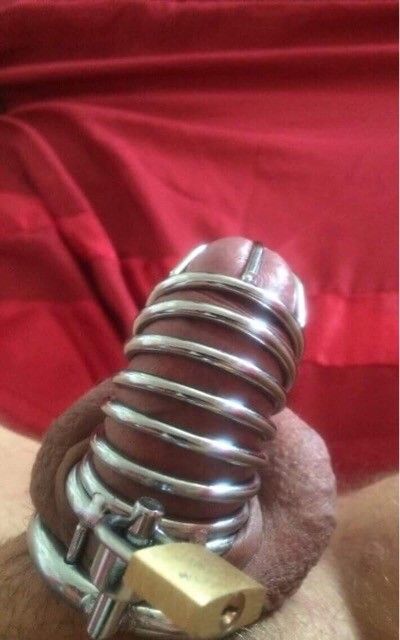 locked up morning glory can be torture