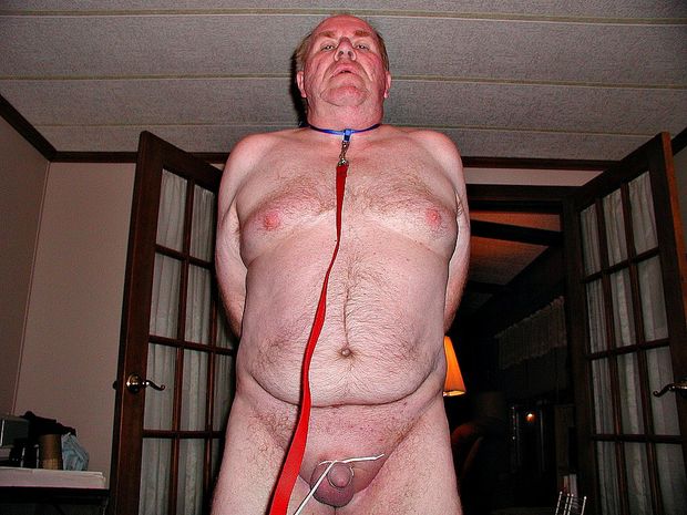 slut is going  out  for  it's  daily walk around the  block  to  pee  and  poop