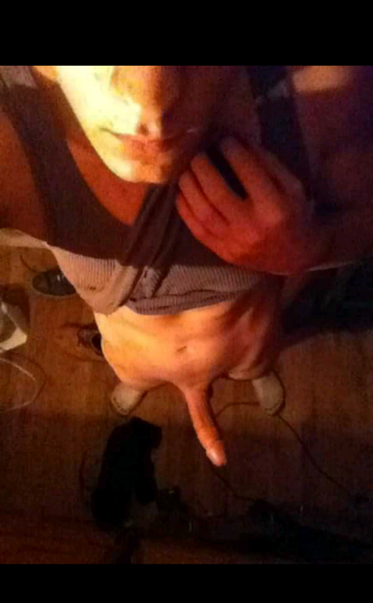 Who wants me inside them
