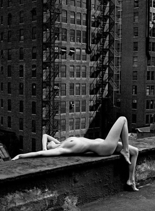 Siesta