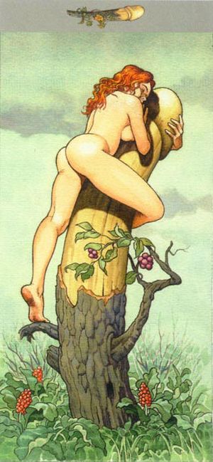 Climbing That Special Tree