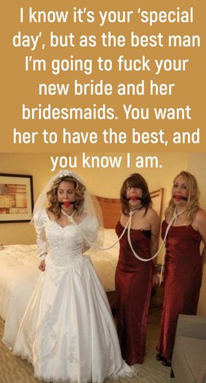 I used the fuck out of your wife.