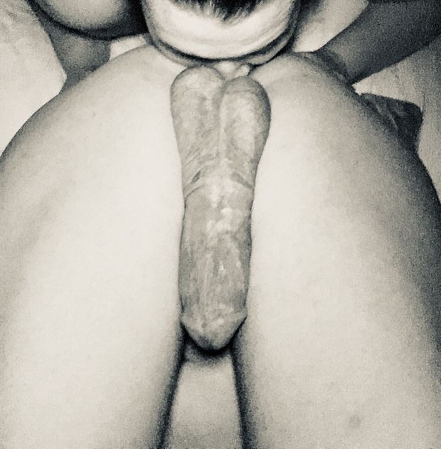 Lick My Ass