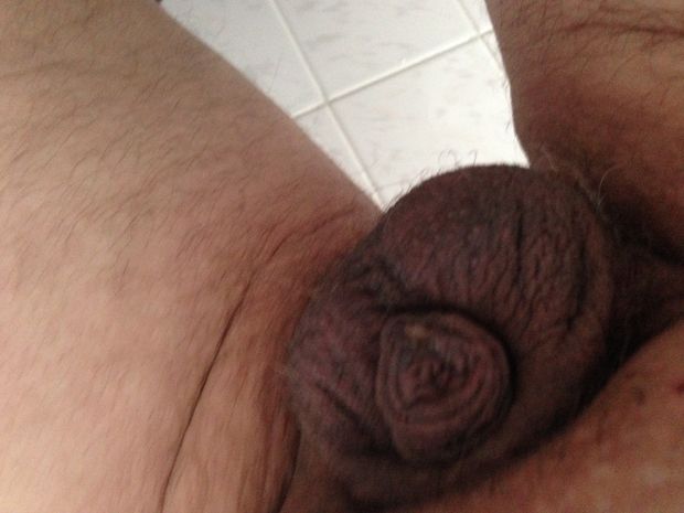 Micro cocks are wonderful