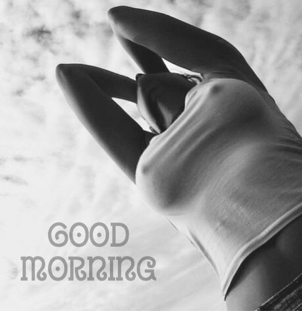 Good Morning (Pokies Reach Toward the Sky)