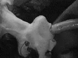 extremally good throated deepthroat