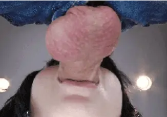 Sucking Cock