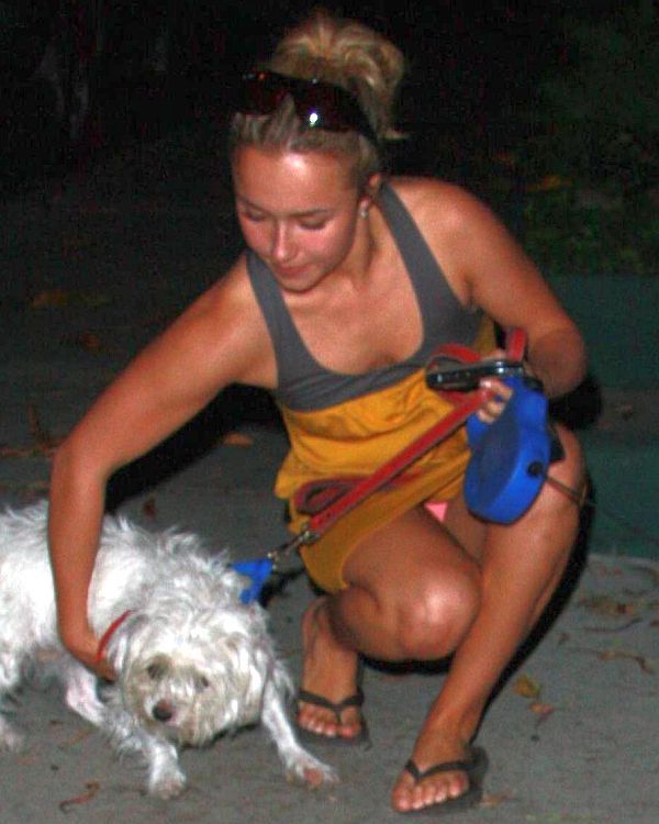 Hayden Panettiere Upskirt