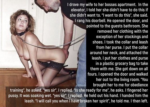 He, and a dozen of his friends “trained” her for a week.