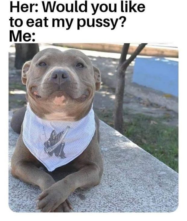 Meme