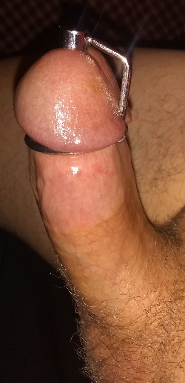 My hard thick dick with a penis plug