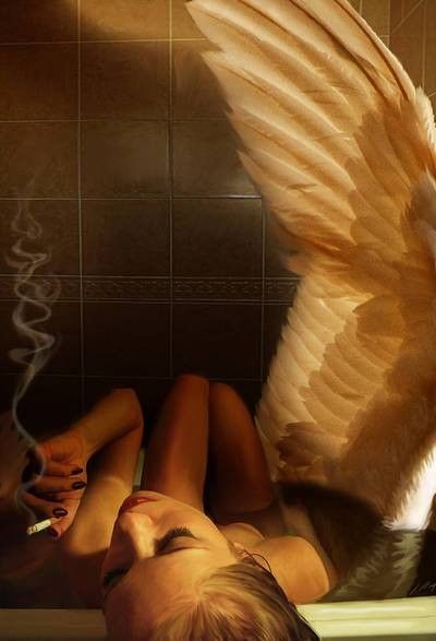 by Alexandre Salles